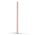 Replacement Straw | Thicc Buddy |